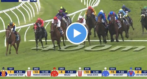 test stakes 2023 replay|2023 Test Stakes Results .